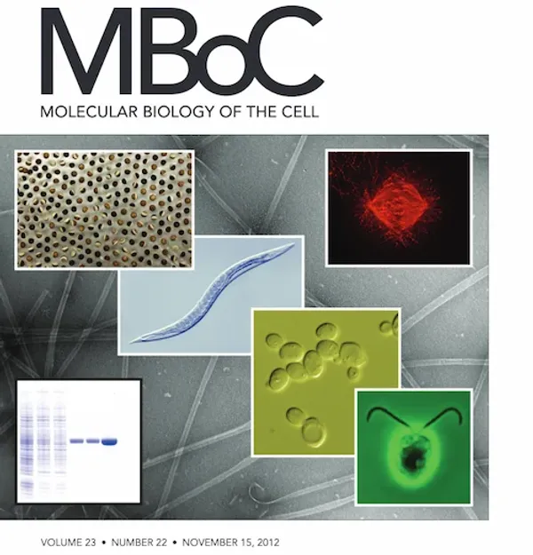 Journal cover of various microscopy images