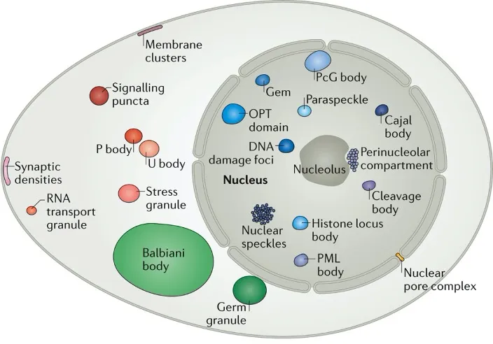 Studying the social interactions of molecules inside the cell