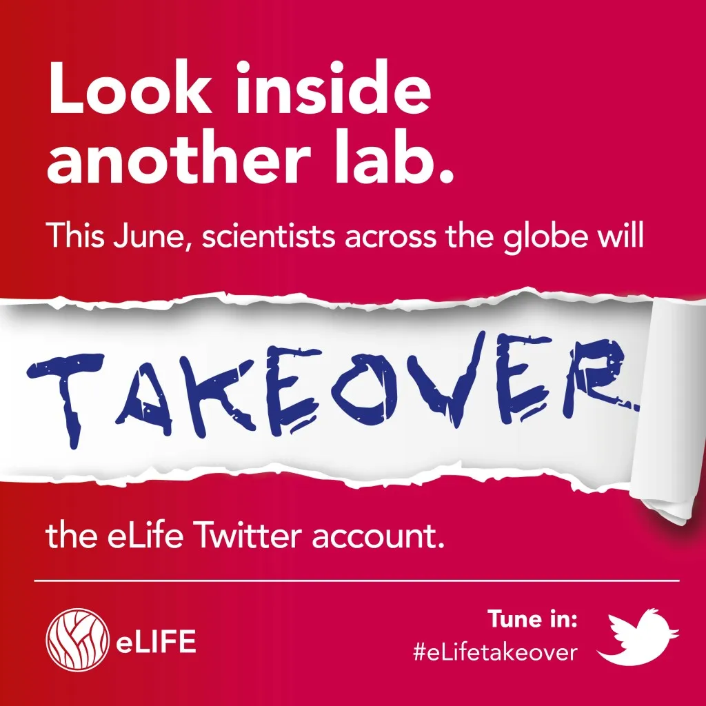 eLife Twitter Takeover graphic