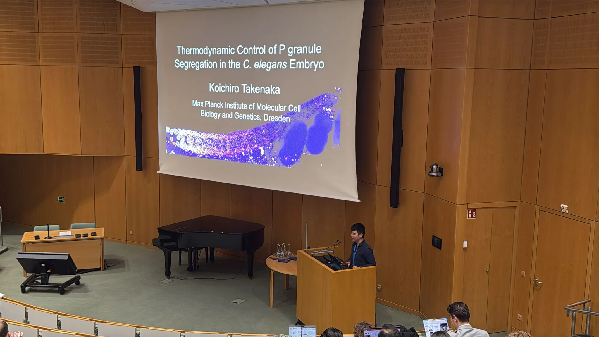 koichiro_takenaka_DGZ_cell_biology_2025